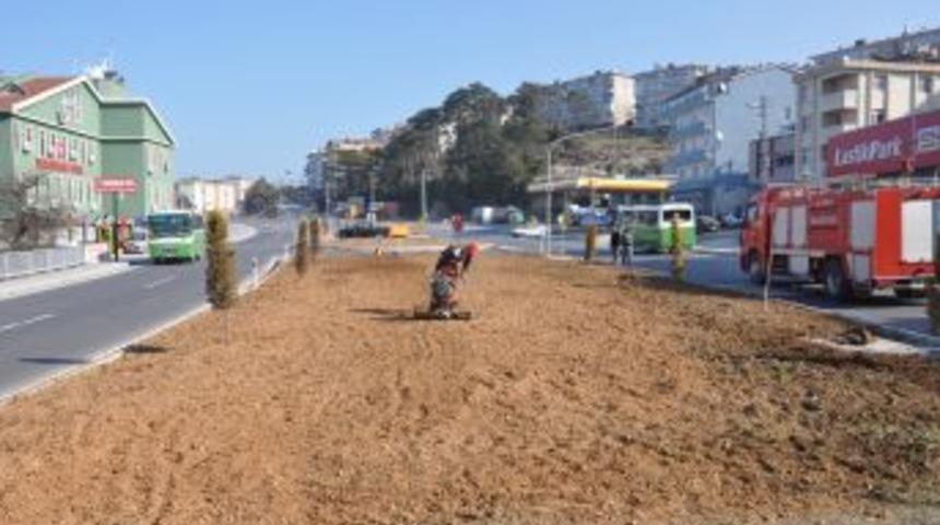 Alaplı'da Ref&uuml;j &Ccedil;alışması başladı