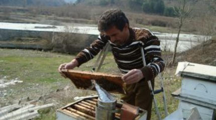 Engelleri arıları ile aştı