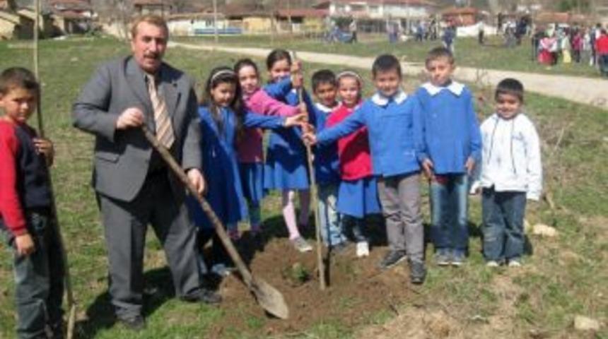 Yenişehir Kavaklı k&ouml;y&uuml;, &ouml;ğrenci ve vatandaşların işbirliği ile ağa&ccedil;landırıldı