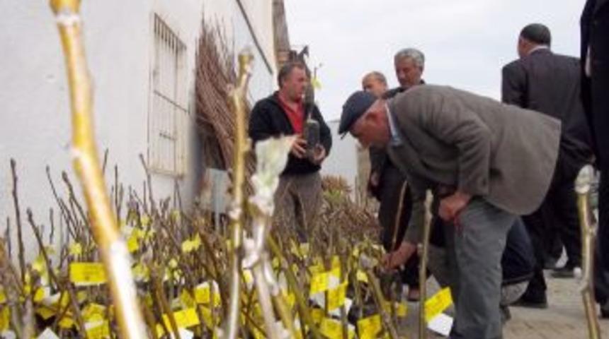 Vali G&uuml;ner: Devletin tarıma verdiği desteği baba evladına vermiyor