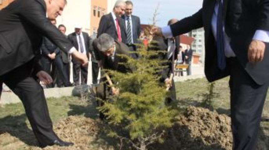 Yeşil Sincan i&ccedil;in 10 bin fidan dağıtıldı