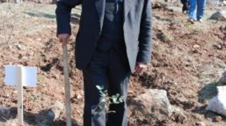 "T&uuml;rkiye'de yeterli miktarda &ccedil;am balı &uuml;retilmiyor"