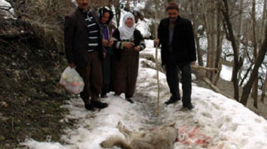 Kurdun kafasını taşla ezerek &ouml;ld&uuml;rd&uuml;