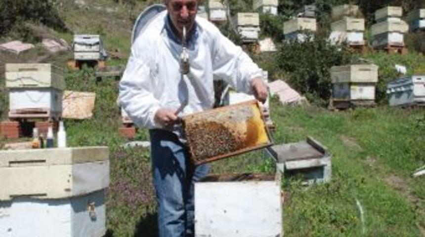 'Bakanlık ve RT&Uuml;K, abartılı bal ve reklamlarını denetim altına aldı'