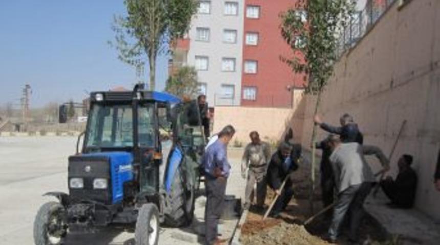 Şırnak Otogarı &Ccedil;evresi Ağa&ccedil;landırıldı