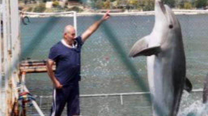 Zel Haber) Tutsak Yunusların &Ouml;zg&uuml;rl&uuml;k M&uuml;cadelesi