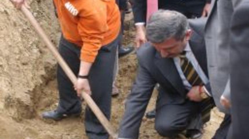 20 bin fidan toprakla buluşacak