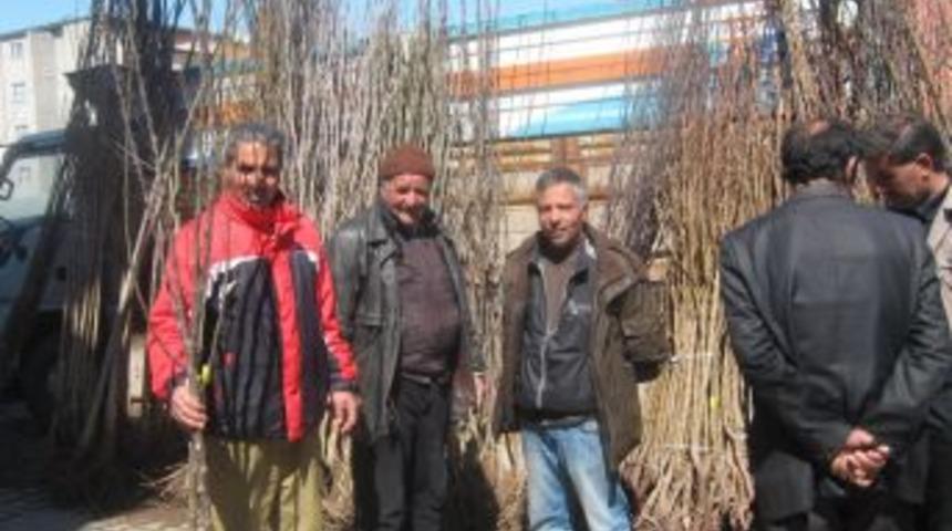 Kağızman&rsquo;da fidan satışları başladı