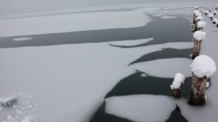 Van G&ouml;l&uuml;'nde Şaşırtan G&ouml;r&uuml;nt&uuml;