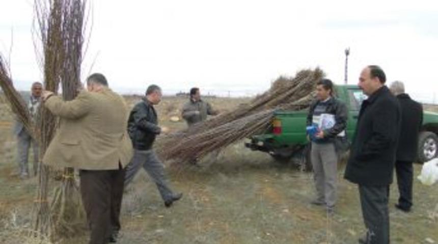 Malatya'da Vir&uuml;sl&uuml; Fidanlar İmha Edildi
