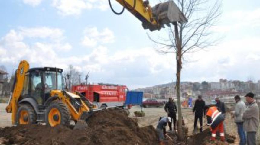 Dolgu alanı ağa&ccedil;landırılıyor