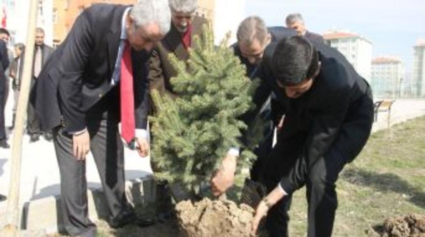 Sincan Belediyesi "yeşil Sincan" İ&ccedil;in Fidan Dağıttı