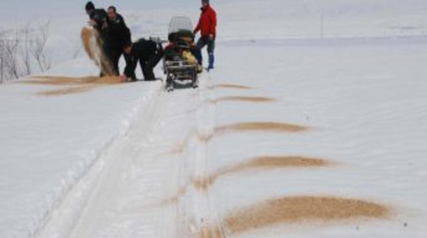 Nesli T&uuml;kenmekte Olan Toy Kuşları Unutulmadı