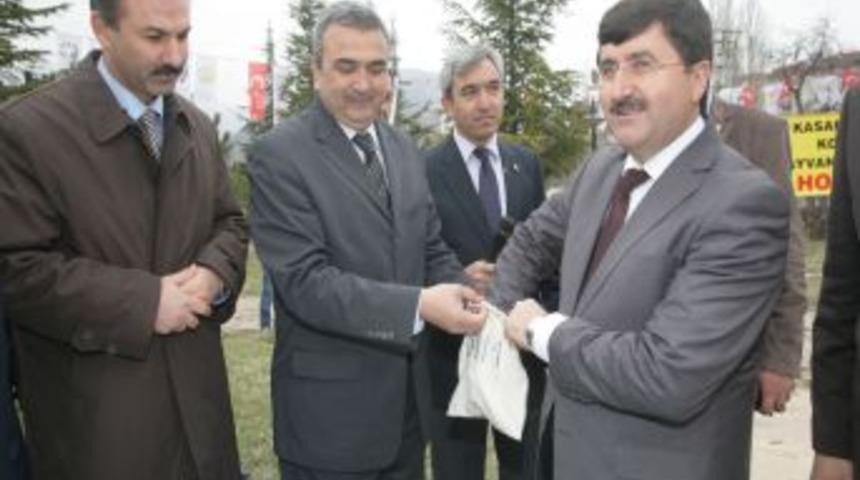 Taşova'da 60 aileye gebe düve dağıtımı yapıldı