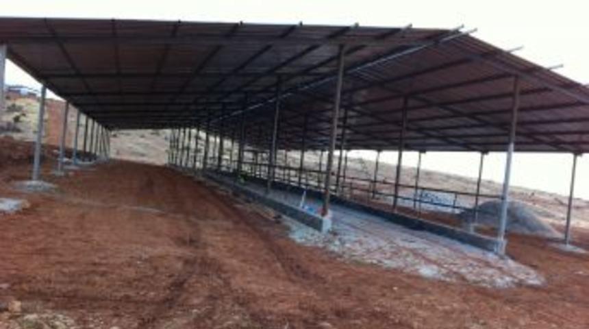 &Ouml;ztiryaki, Yollarbaşı beldesinde damızlık &ccedil;iftliklerini gezdi