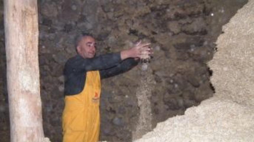 Sarıkamış'ta besiciler zor durumda, samanın fiyatı altın değerinde