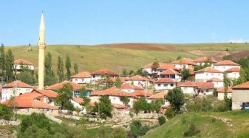 &lsquo;En temiz k&ouml;y&rsquo; se&ccedil;ilmek i&ccedil;in yarışacaklar