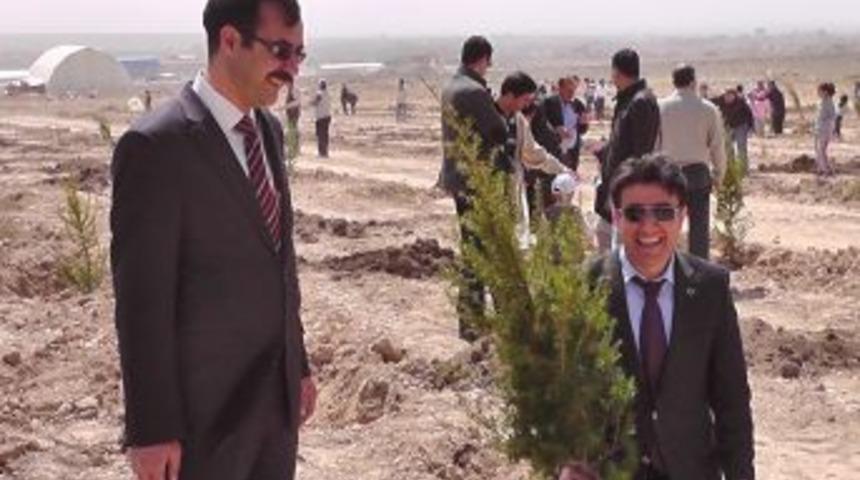 Bor Emniyet M&uuml;d&uuml;rl&uuml;ğ&uuml; personeli, hatıra ormanı i&ccedil;in ağa&ccedil; dikti