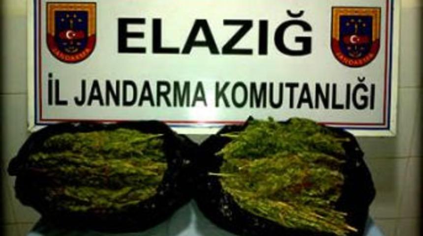 Jandarmadan Operasyon