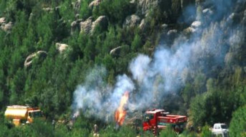 Alanya&rsquo;da 6 hektar orman yanarak k&uuml;l oldu