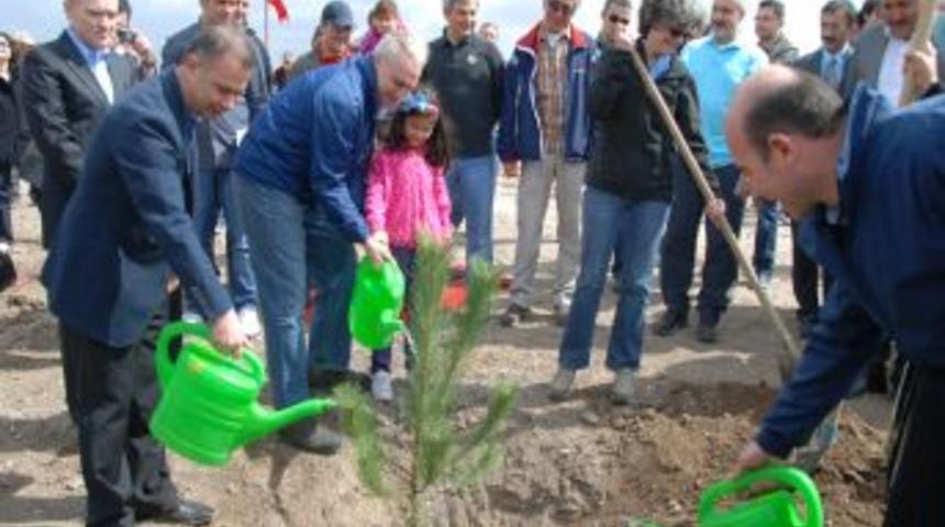 ABD B&uuml;y&uuml;kel&ccedil;isi Ricciardone, Kazan'da fidan dikti
