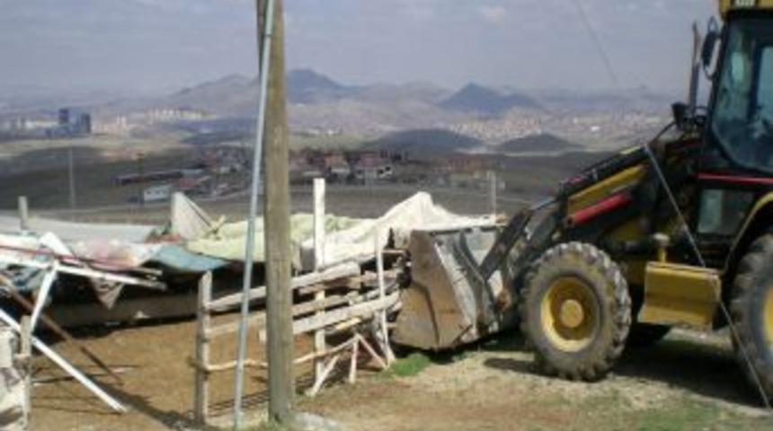 Zabıta ka&ccedil;ak hayvan kesimine g&ouml;z a&ccedil;tırmıyor