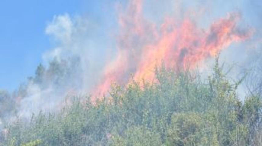 Alanya&rsquo;da makilik alanda &ccedil;ıkan yangın korkuttu