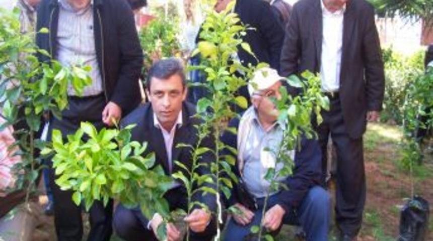 Sertifikalarını alan kursiyerler balkonda Kamkat yetiştirecek