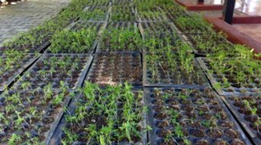 Jandarma 5 Bin 360 K&ouml;k Hint Keneviri Ele Ge&ccedil;irdi