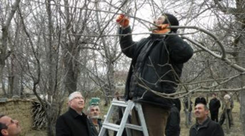 Erzincan&rsquo;da budama sezonu başladı
