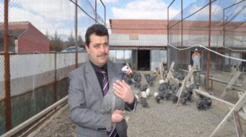 Yozgat’ta kene ile mücadele için 3 bin 500 beç tavuğu dağıtılacak