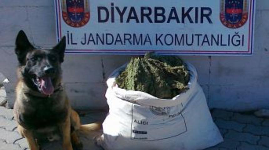 Diyarbakır'da 31 Kilo Gram Esrar Ele Ge&ccedil;irildi
