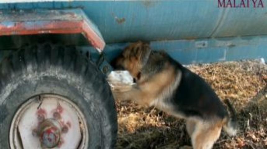 Malatya ve Şanlıurfa'da esrar operasyonu: 40 g&ouml;zaltı