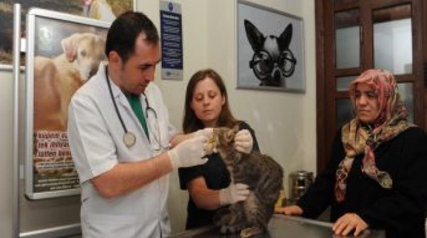 D&uuml;nyanın ilk hayvan hastanesi yeniden hizmete a&ccedil;ıldı