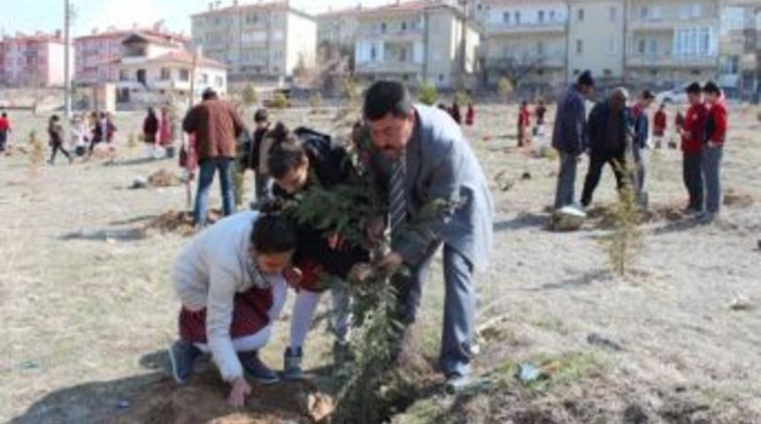 Avanos&rsquo;ta &ouml;ğrenciler fide dikti