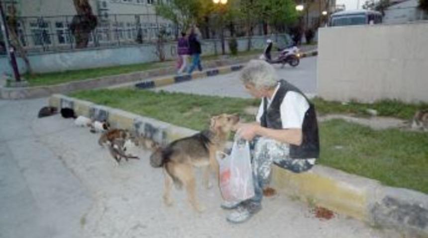 Kzuşadası'nın dayısı hayvanlara babalık yapıyor