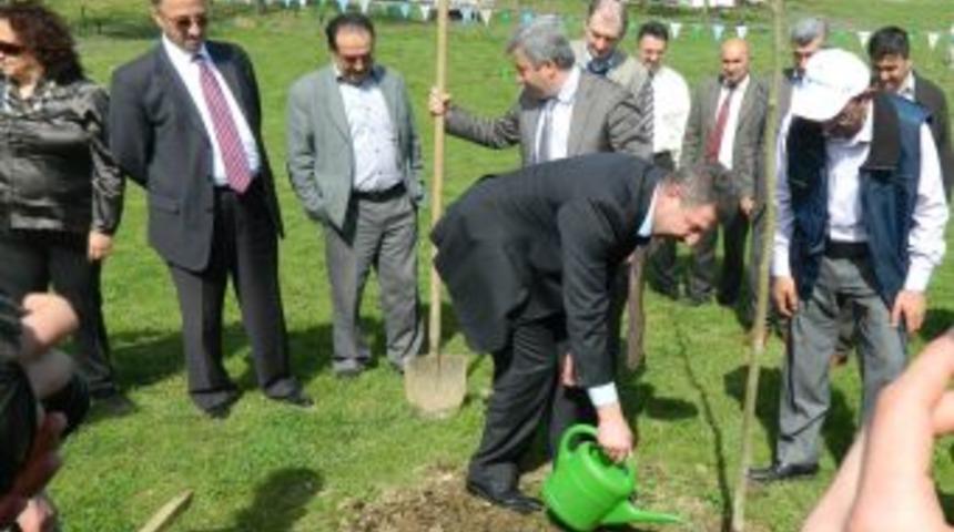 T&uuml;rkiye fidan borcunu &ouml;d&uuml;yor