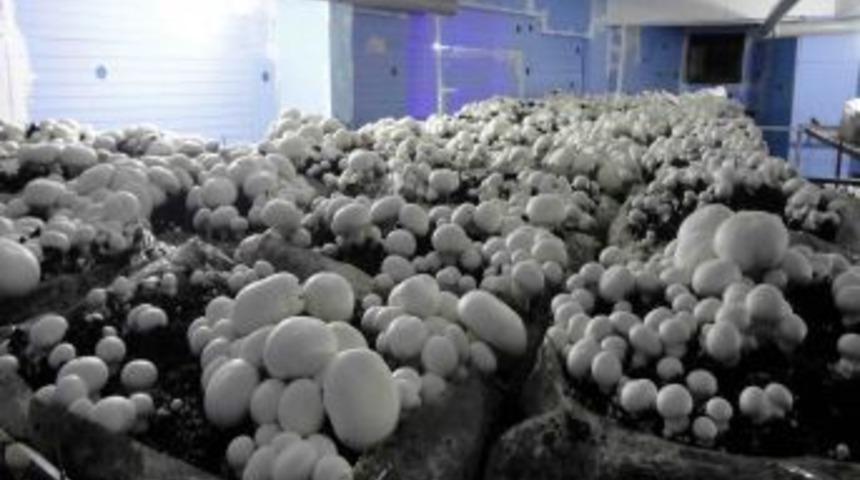 İnşaat iş&ccedil;isiydi vakıf desteği ile işinin patronu oldu