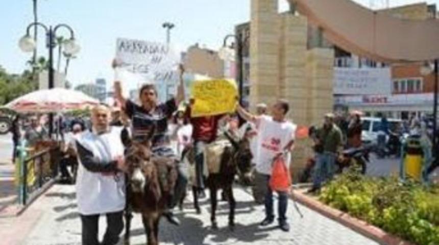 Zamlara Eşekli Protesto ...