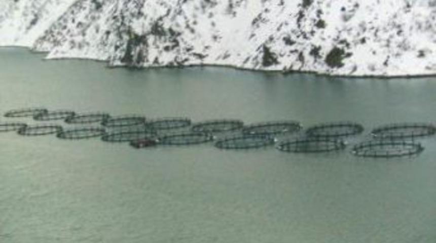 K&uuml;rt&uuml;nl&uuml; balık&ccedil;ı Kemal'in hikayesi