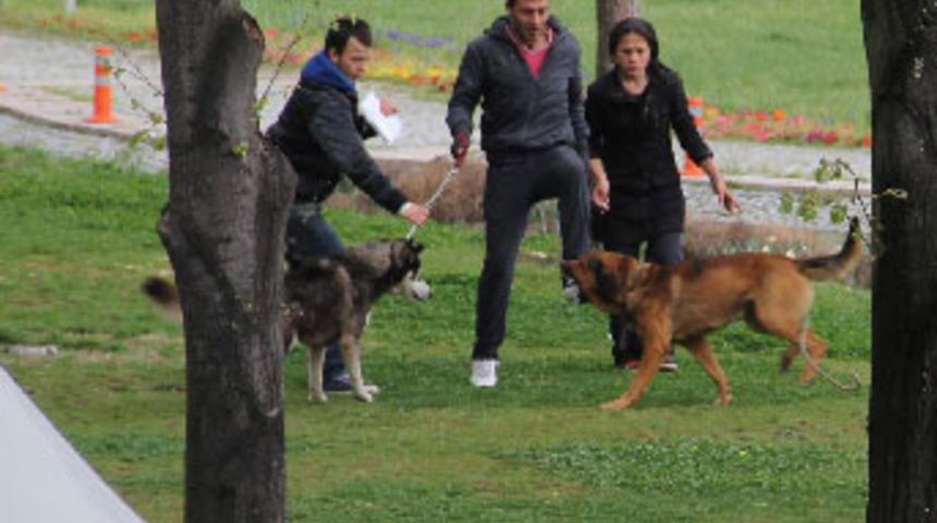 Bursa'nın g&ouml;beğinde vahşet