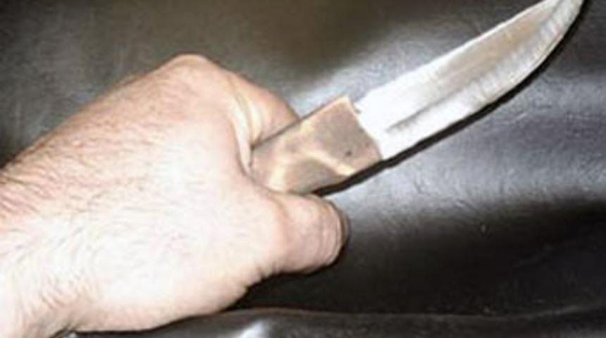 Pitbull kavgası kanlı bitti