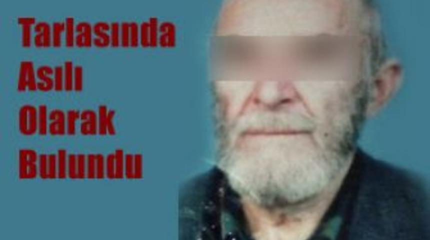 Tarlasında asılı olarak bulundu