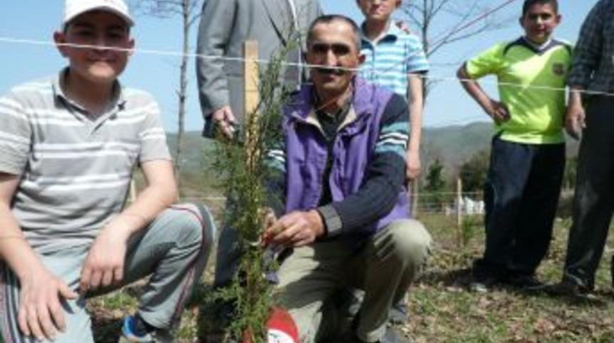 Huzur Derneği &uuml;yeleri k&ouml;y mezarlığına servi dikti