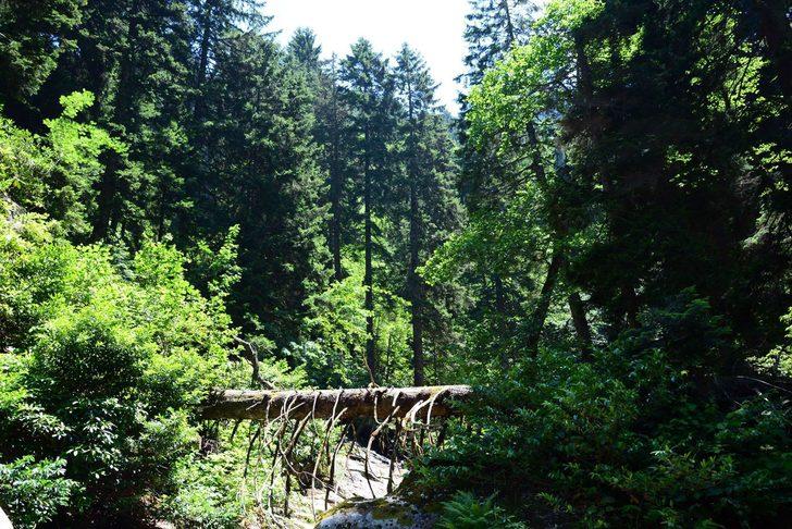  İşte Arap turistlerin Türkiye'deki gözde mekanı G2