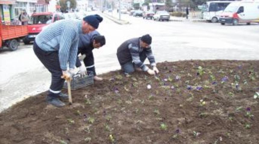 Turhal&rsquo;da kavşak ve ref&uuml;jler s&uuml;s bitkileri ile g&uuml;zelleşiyor