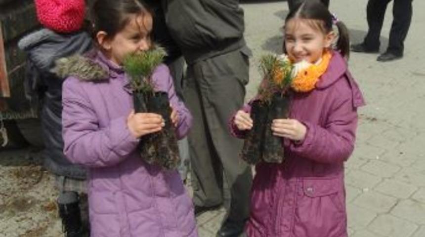 &Ccedil;ankırı'da 3 bin fidan dağıtıldı