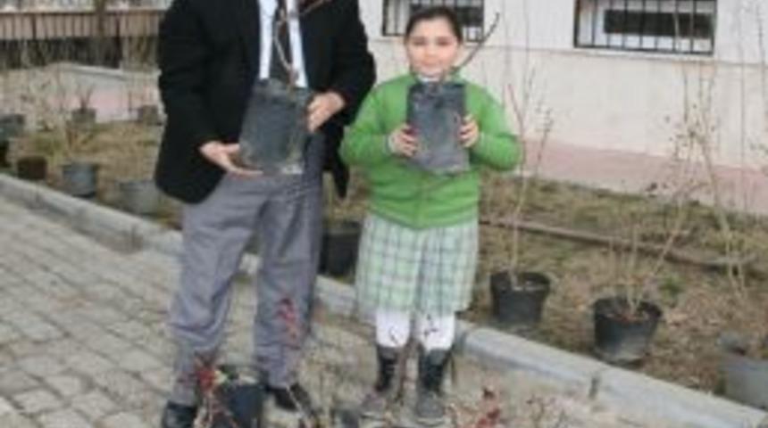 Minikler okul bahçesine 100 fidan dikti
