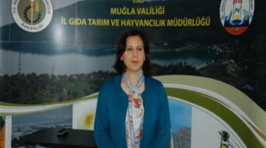 Muğla&rsquo;da organik tarım yaygınlaştırılıyor