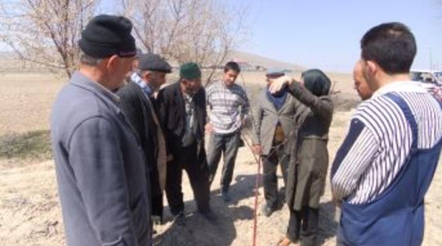 Belkaya ve Kut&ouml;ren'de &ccedil;ift&ccedil;ilere budama eğitimi